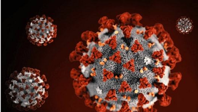 Antigen Covid-19: CDC Amerika memprediksi bahwa lebih dari 44000 orang dapat mati dari Covid-19 dalam empat minggu ke depan